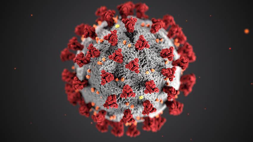 Schmuckgrafik Coronavirus - bei Klick vergrößert dargestellt